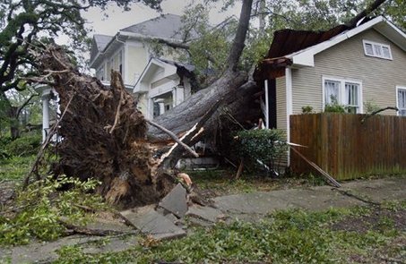 neighbors from Davenport fell tree FL property,